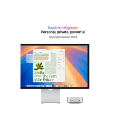 Apple Mac mini - M4 Pro jusqu'à - RAM 24 Go - SSD 512 Go - Apple M4 Pro 16-core - Gigabit Ethernet, ... (MCX44FN/A)_6