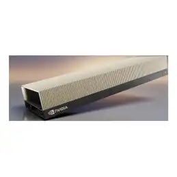 NVIDIA L40S - Processeur de calcul - NVIDIA L40S - 48 Go GDDR6 - PCIe 4.0 x16 - 4 x Display... (900-2G133-0080-000)_1